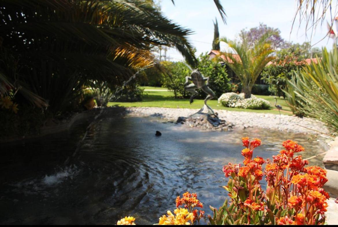 Hotel Palmas Teotihuacan San Juan Teotihuacan Bagian luar foto